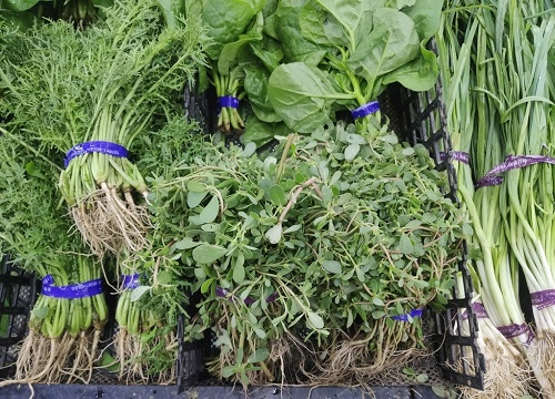 1674891851129071.png image.png